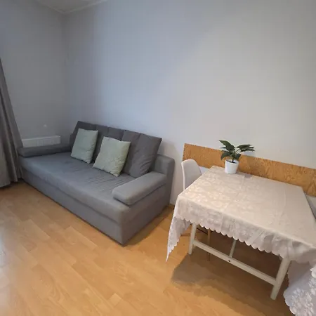 Suur-ameerika Apartament Tallin