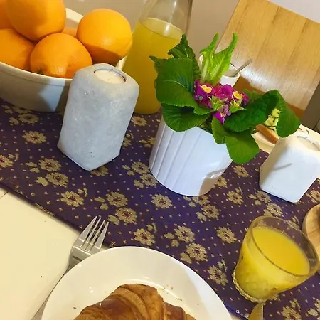 Suur-ameerika * Tallinn